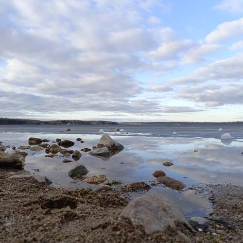 Photo #12567110