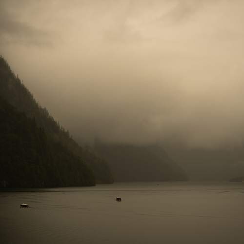 Photo #12567178
