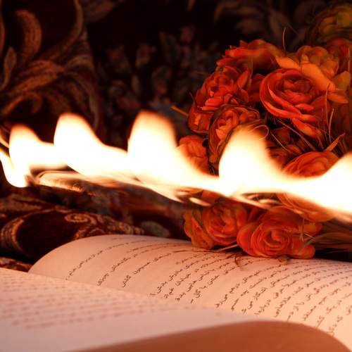 Photo #12567610