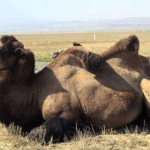 Photo #12567693
