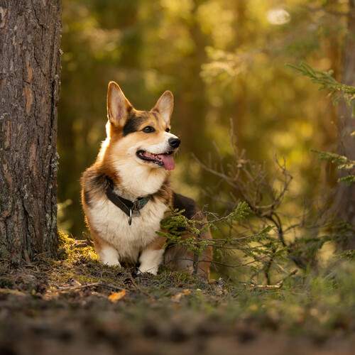 Photo #12567817