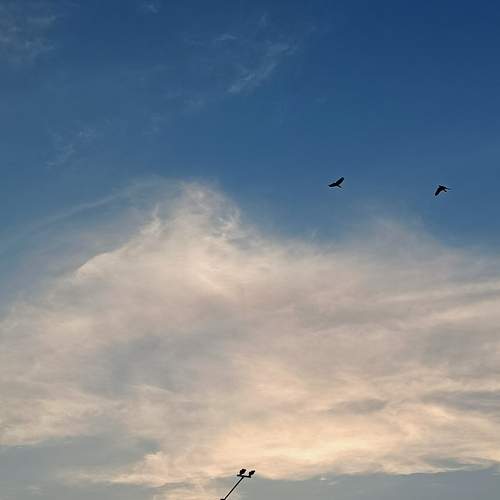 Photo #12567840