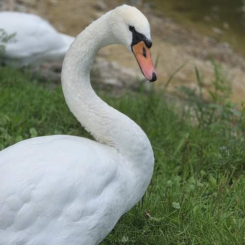 Photo #12567903