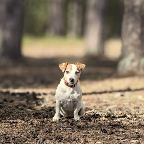 Photo #12567966