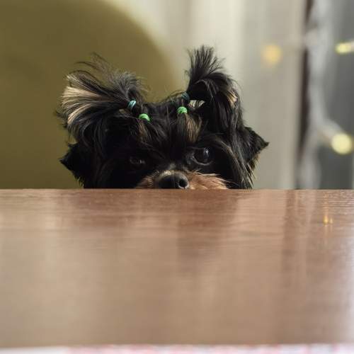 Photo #12569231