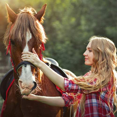 Фотография #12569248