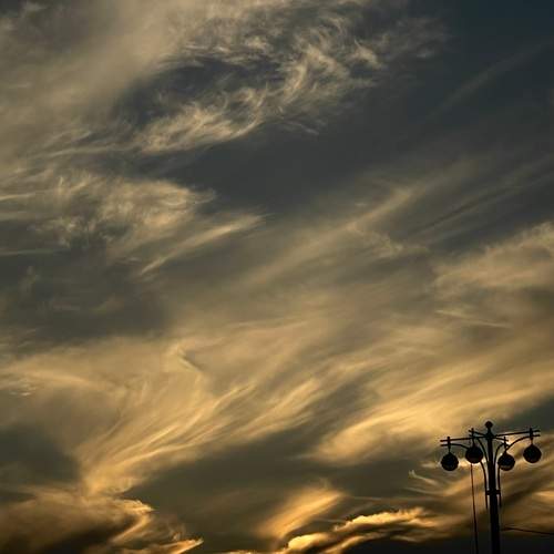 Photo #12569270