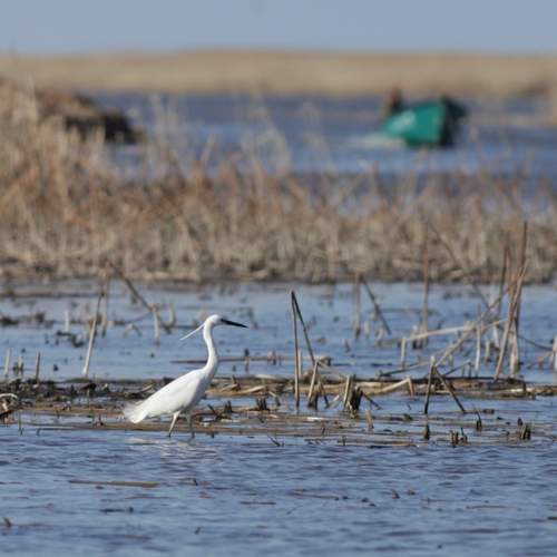 Photo #12569349