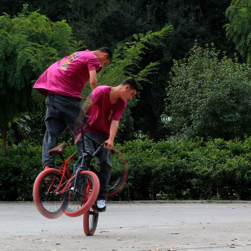 Photo #12569423
