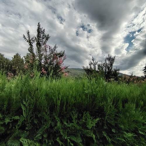 Photo #12569766