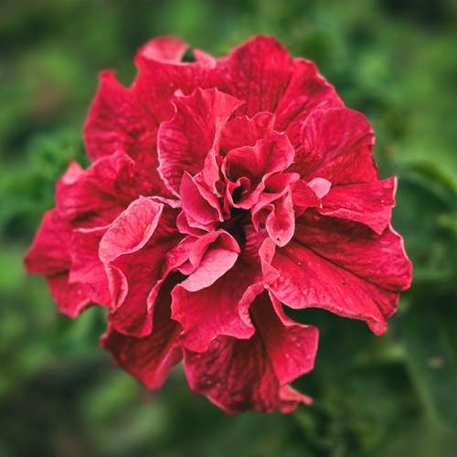 Photo #12570033