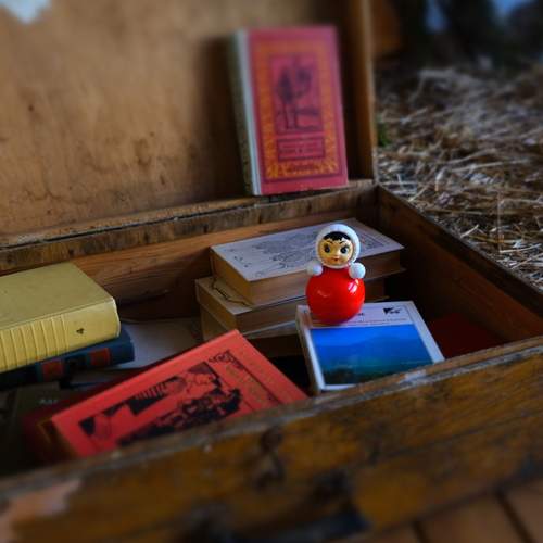 Photo #12570515