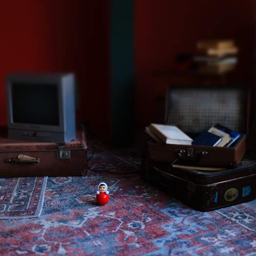 Photo #12570516