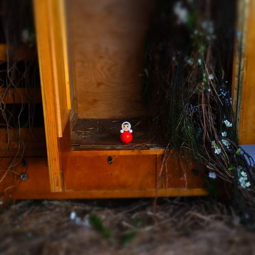 Photo #12570518