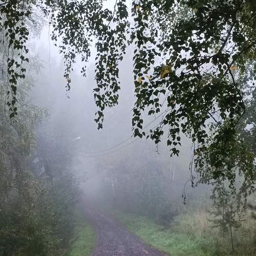 Photo #12570601