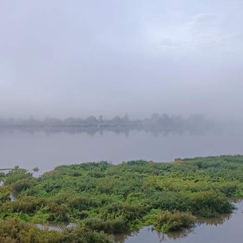 Photo #12570605