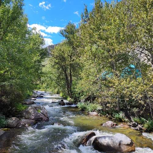 Photo #12570923