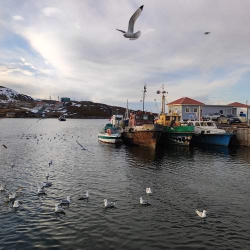 Photo #12571075