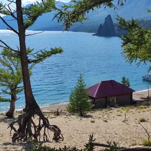 Photo #12571078