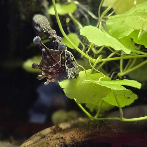 Photo #12571272