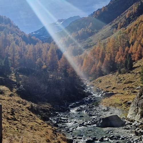 Photo #12571347