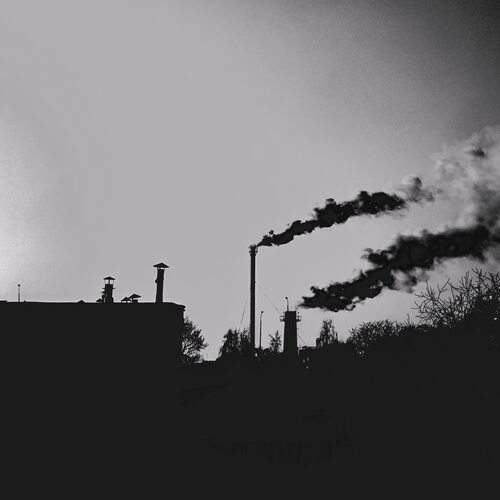 Photo #12571436