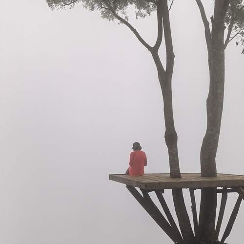 Photo #12571613