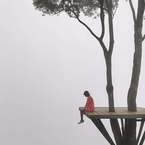 Photo #12571616
