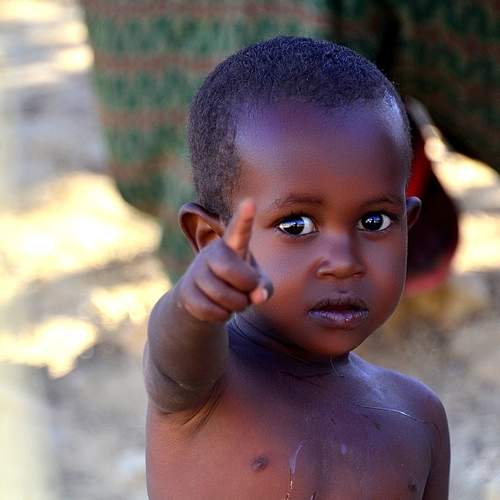 Photo #12572055