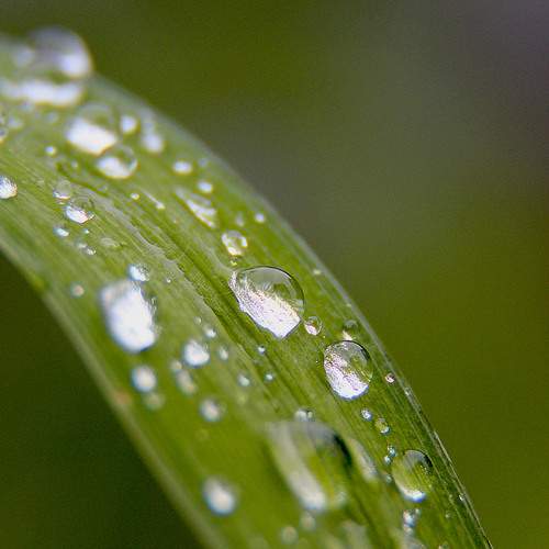 Photo #12572097