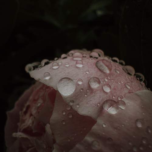 Photo #12572139
