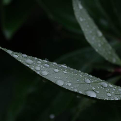 Photo #12572142