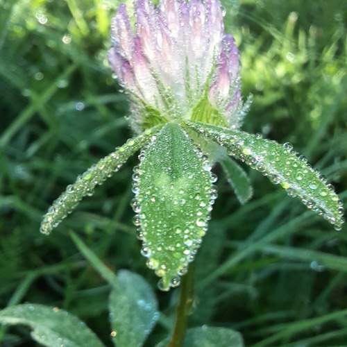 Photo #12572169
