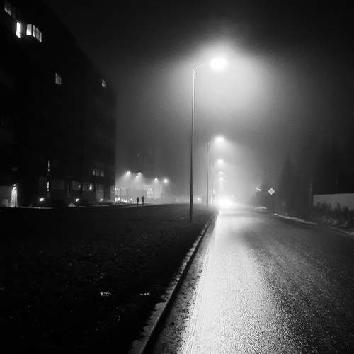 Photo #12572186