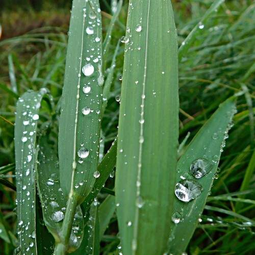 Photo #12572232