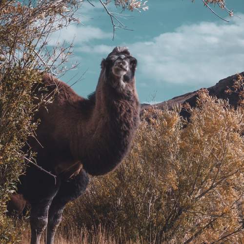 Photo #12572331