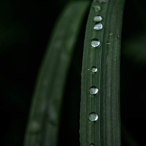 Photo #12572354