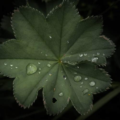 Photo #12572355