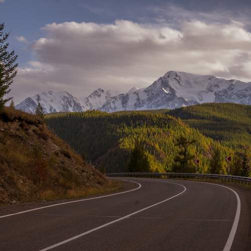 Photo #12572359