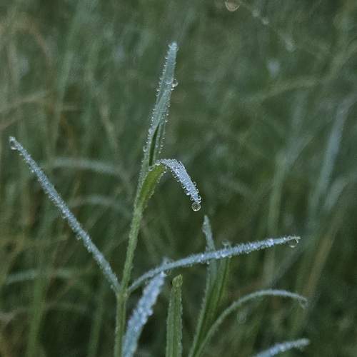 Photo #12572422