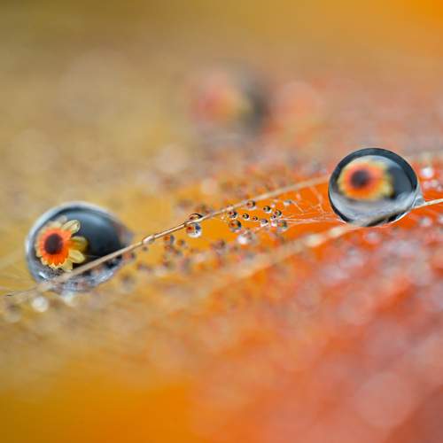 Photo #12572652