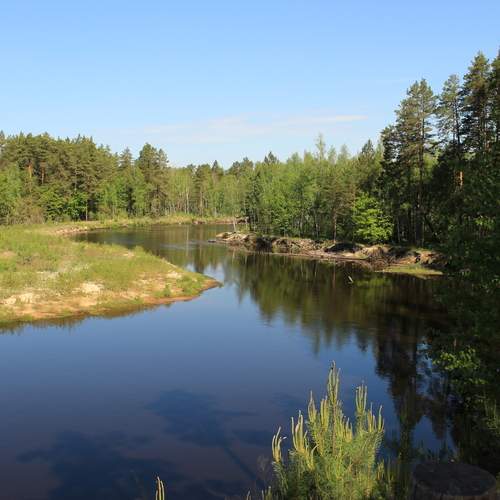 Photo #12572834