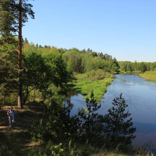 Photo #12572836