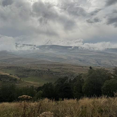 Photo #12572868