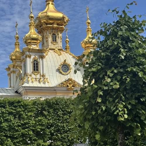 Photo #12572873