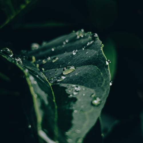 Photo #12573079