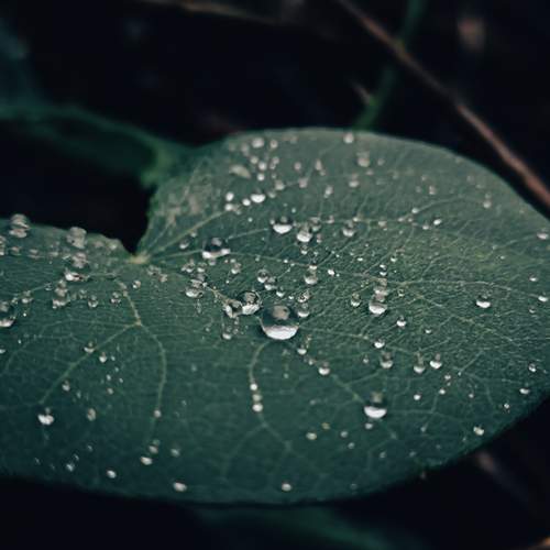 Photo #12573080