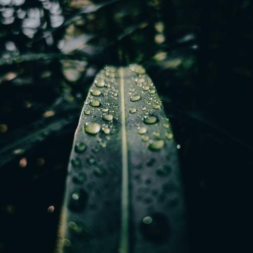 Photo #12573081