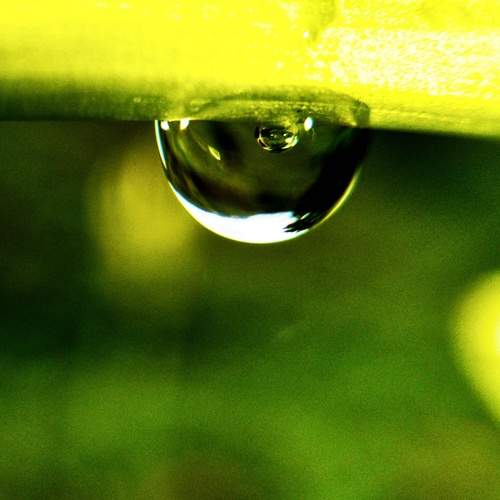 Photo #12573107