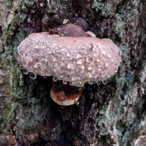 Photo #12573113